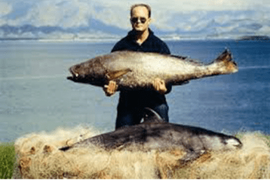 screen-shot-2016-10-10-at-9-43-36-am